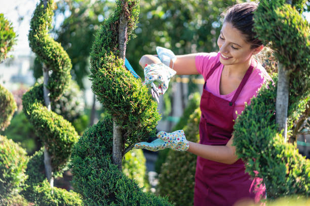 istock Part-time job for the summer 1280228408