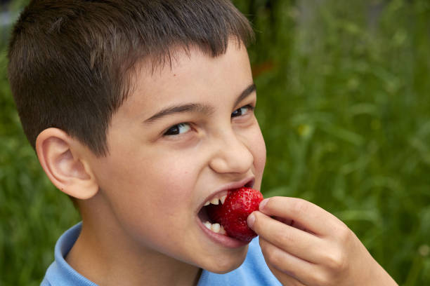 istock a little boy holds a strawberry in his hands 1280229365