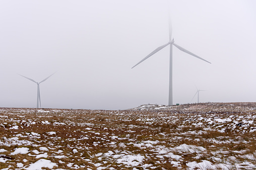 Wind turbines in a snowy field covered with dense fog on a winter day