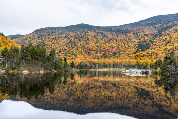 istock Autumn colours around mountain lake on a cloudy day 1280232098