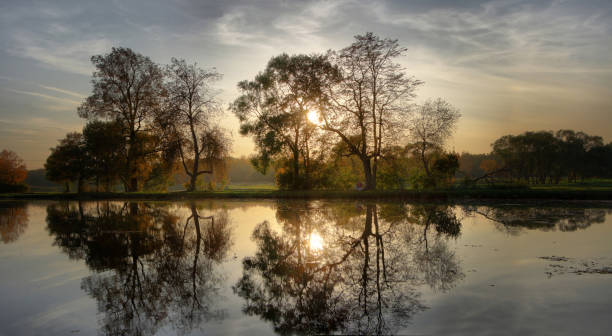 istock Trees on the lake shore against the sunset 1280232754