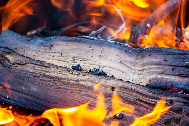 istock Black, red and orange flame, fire and charcoal textured background 1280233721