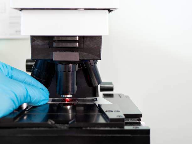 istock detail of a scientist hand with a nitrile glove inserting a slide into the microscope with a blood sample with blurred background- concept of medical research 1280234936