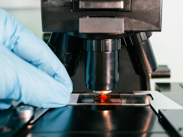 istock detail of a scientist hand with a nitrile glove inserting a slide into the microscope with a blood sample with blurred background- concept of medical research 1280234937