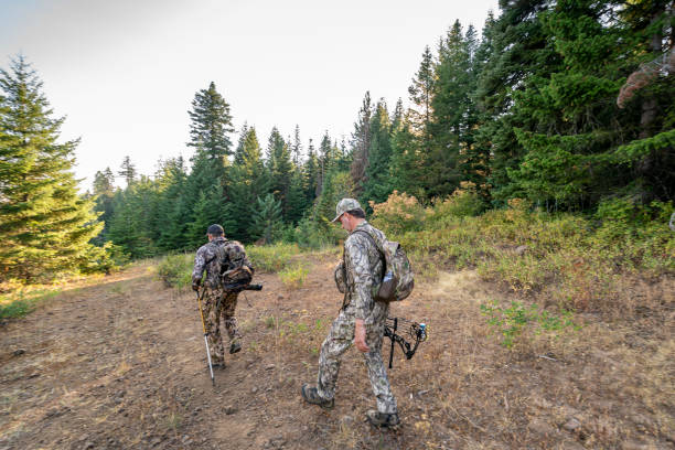 istock Crossbow hunters hike at dawn while hunting elk 1280238158