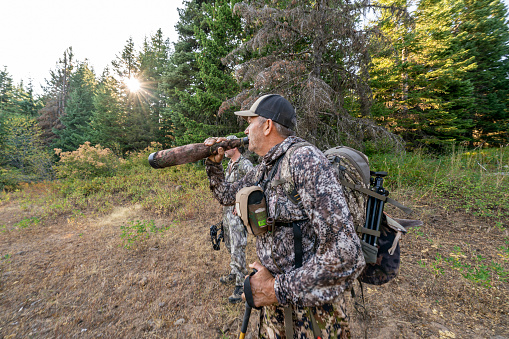 A middle aged man wearing camouflage clothing and carrying a large backpack of gear uses a bull elk grunt tube while bowhunting in a forest in Washington state. It is early in the morning and sun is shining through the trees.