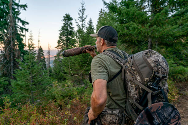 istock Man using bull elk grunt tube while hunting at sunset 1280238179