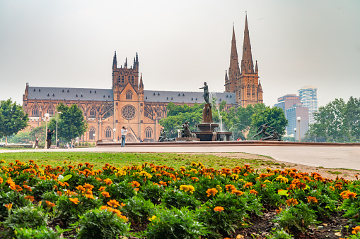 Hyde Park and St Mary's Cathedral at dusk in the smog from various bushfires, Sydney, Australia.