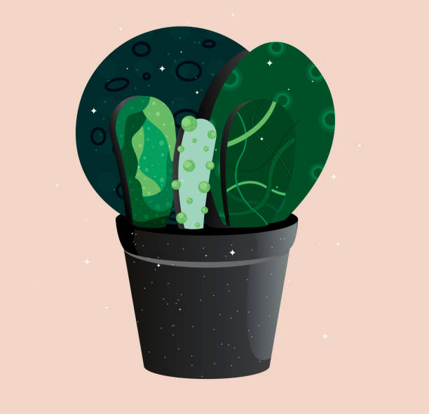 A pot with unusual cacti. vector art illustration