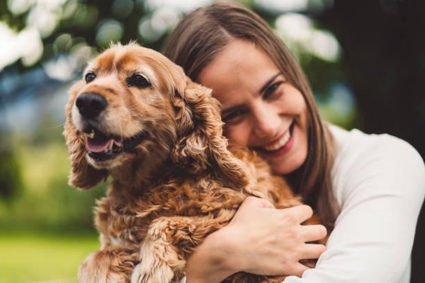 Happy dog cuddling with his owner Young caucasian woman spending time outside with her dog, a cocker spaniel. True love between owner and dog. cocker spaniel stock pictures, royalty-free photos & images