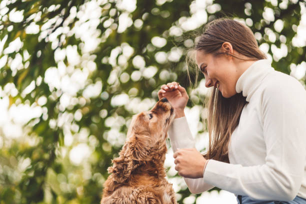 istock You're such a good boy! 1280247488