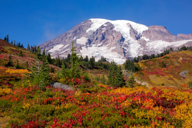 istock Stunning fall foliage at Mt. Rainier National Park in Washington state 1280249360