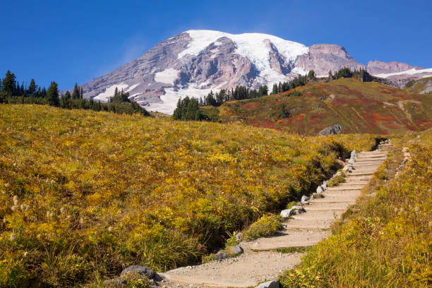 istock Stunning fall foliage at Mt. Rainier National Park in Washington state 1280249361