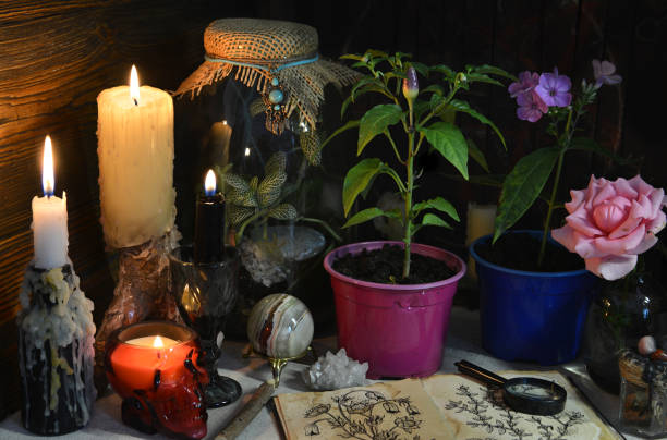 istock Mysterious still life with burning candles and plants in pot on witch table. 1280249590