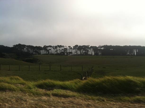 istock Highway 1 Field of Beauty 1280252957