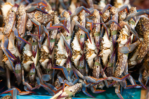 February/03/2014 at a seafood market in Tarlac city, Philippines