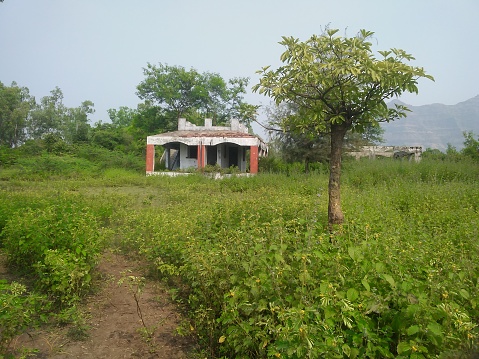 Farm house from vadodara Gujarat India