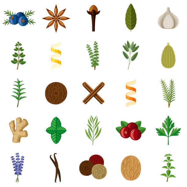 Holiday Herbs and Spices Icon Set A set of holiday herbs and spice icons. File is built in the CMYK color space for optimal printing. Color swatches are global so it’s easy to edit and change the colors. star anise stock illustrations