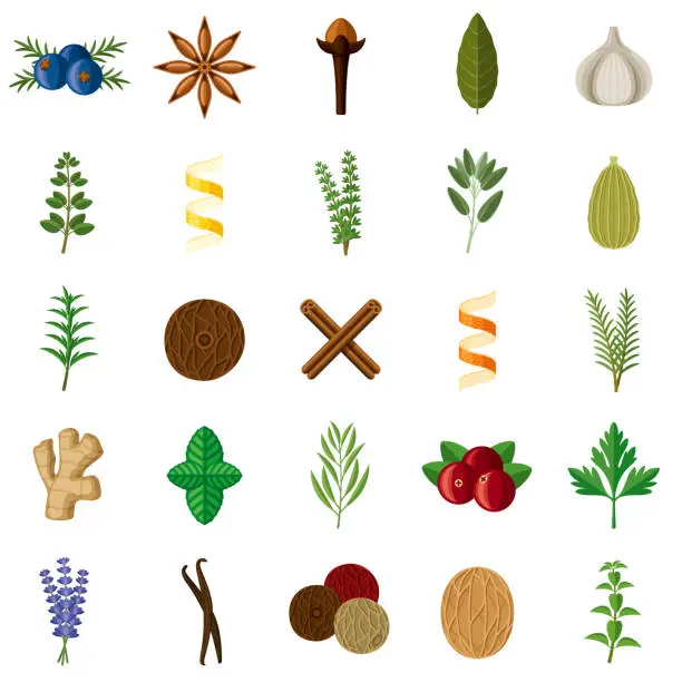 Vector illustration of Holiday Herbs and Spices Icon Set