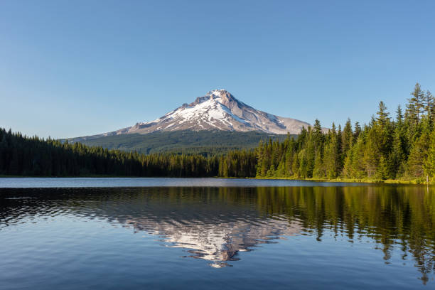 istock Mount Hood from Trillium Lake, Oregon 1280262651