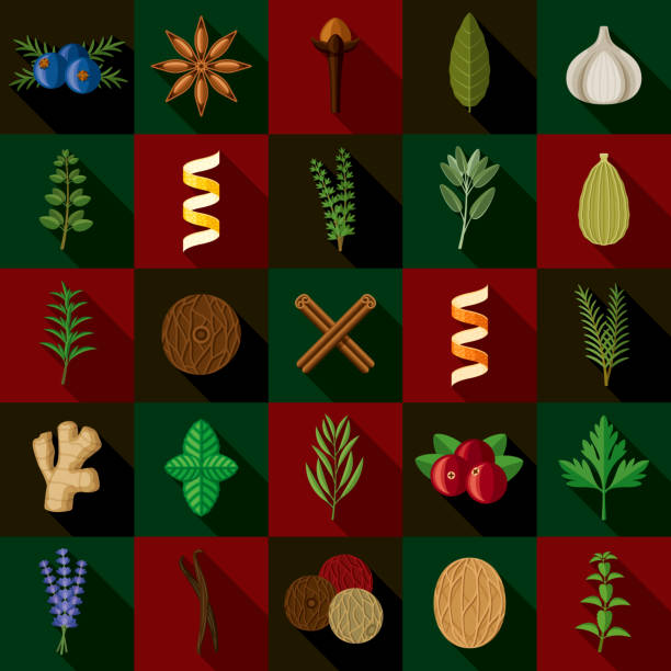ilustrações, clipart, desenhos animados e ícones de conjunto de ícones de ervas e especiarias de natal - herb tarragon thyme parsley