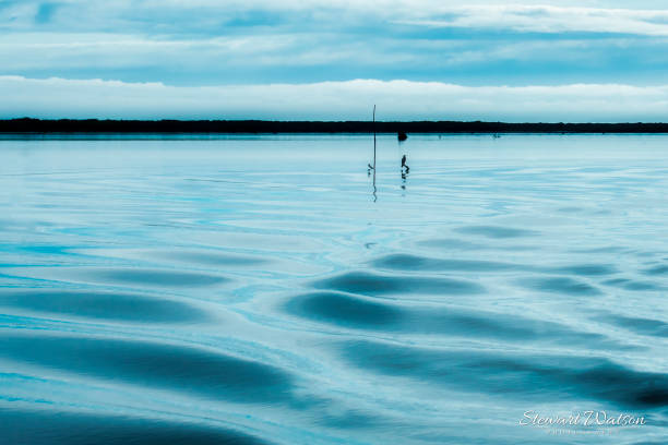 okarito lagoa dreamy passeio de barco azul - okarito lagoon - fotografias e filmes do acervo