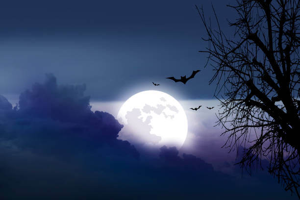 istock Halloween night - spooky moon in cloudy sky with bats and black tree silhouette 1280271225