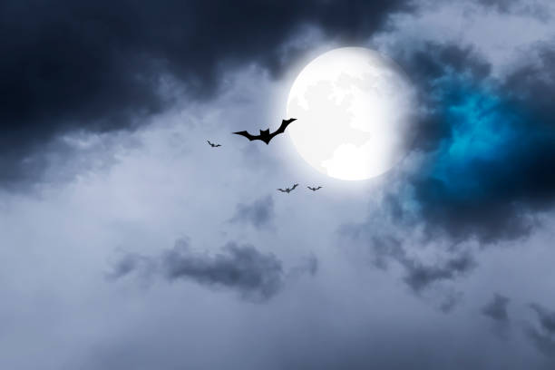istock Spooky Hallowee - Dark night nature cloudy sky background 1280271226
