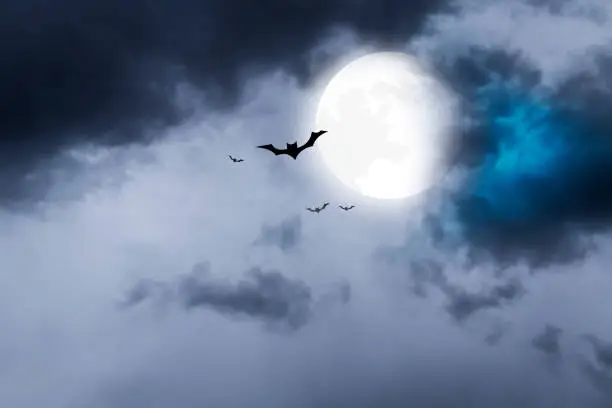 Photo of Spooky Hallowee - Dark night nature cloudy sky background