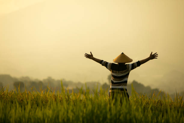 istock Asian farmer in rice field with mountain on the background 1280271466