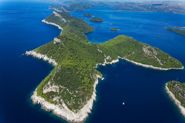 luftaufnahme der elaphiti-inseln in der nähe von dubrovnik - europe pine tree sea adriatic sea stock-fotos und bilder