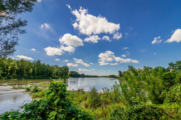 istock River Drava in Danube-Drava National Park (Duna-Dráva National Park), Hungary 1280272408