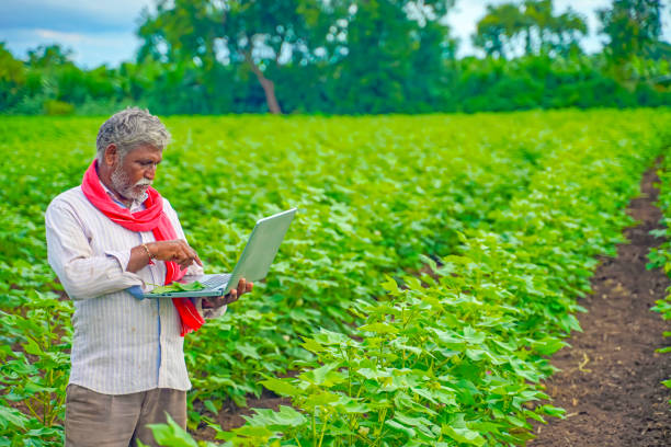 istock Indian farmer using a laptop at agriculture field 1280272965