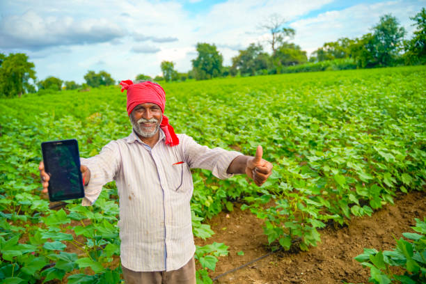istock Indian farmer Showing a mobile screen at agriculture field 1280274122