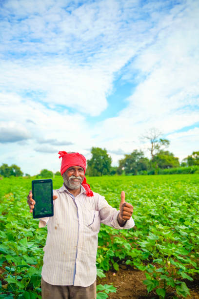 istock Indian farmer Showing a mobile screen at agriculture field 1280274759