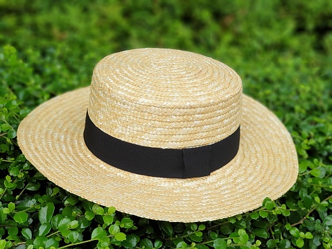 Panama hat weave on green leaves.