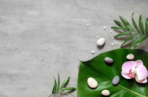 Flat lay composition with spa stones, palm leaf and orhid pink flower on grey background.