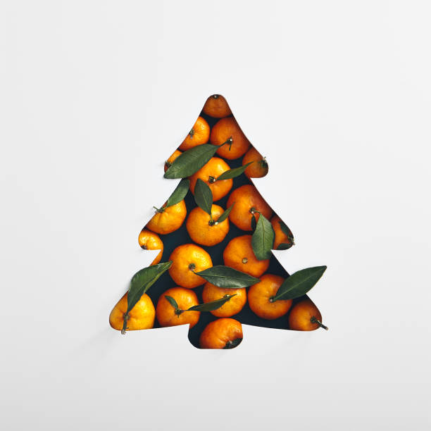 forme d’arbre de noël avec la mandarine et la feuille verte - fruit tree photos et images de collection