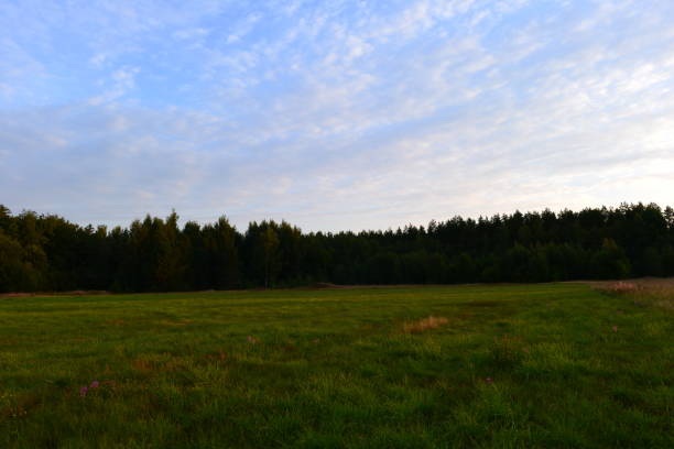 istock Mowed green pasture in the morning sunlight 1280277047