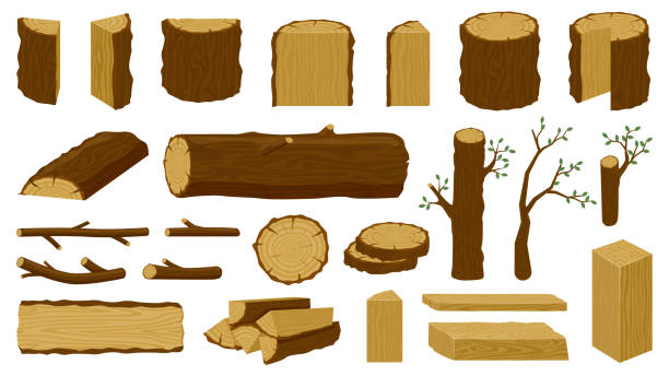 деревянные древесины. дерево ствола, деревянные доски и лесозаготовки, пиломатериалов промышленности нарезанный дрова материал изолирова - ствол stock illustrations