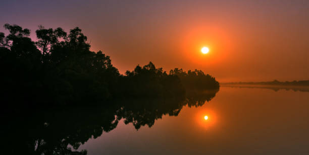 Winter sun rising just behind from the mangrove horizon and simultaneously creates a dramatic reflection on the calm water at Sundarban tiger reserve.1.
