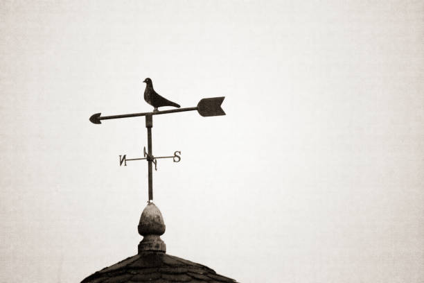 Weathervane in dove shape, black and white. Galicia, Spain, copy space available.