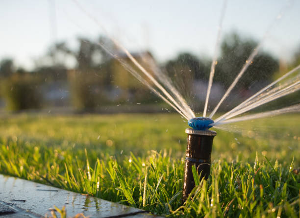 istock Automatic sprinkler system watering the lawn. Close-up 1280294999