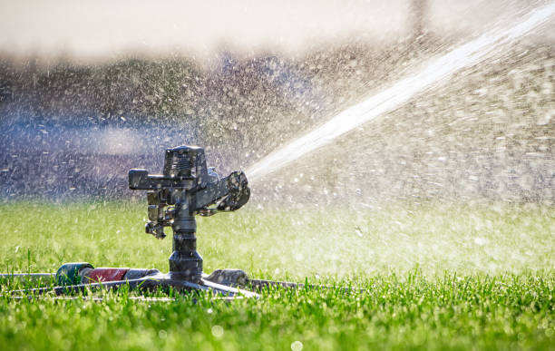 istock Automatic sprinkler system watering the lawn. close-up 1280295167