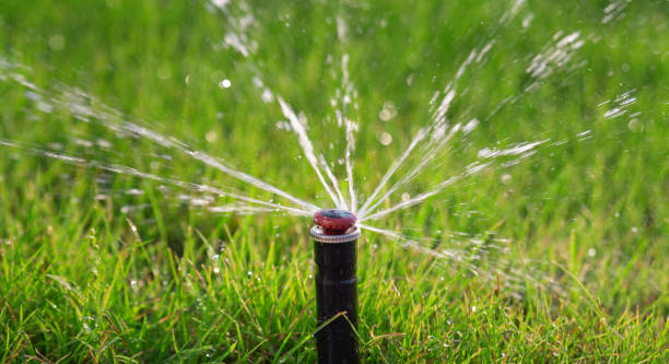 istock A sprinkler sprinkles water on the lawn at sunset against the backdrop green grass. Automatic lawn watering 1280295284