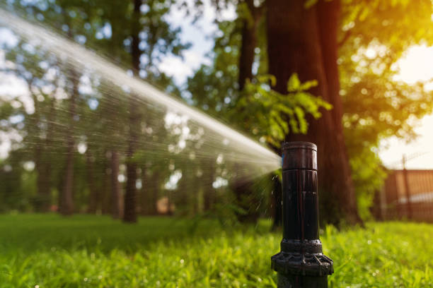 Automatic sprinkler system watering the lawn at sunrise. Close-up. Gardening and law care. Automatic sprinkler system watering the lawn at sunrise. Close-up. Gardening and law care. agricultural sprinkler stock pictures, royalty-free photos & images