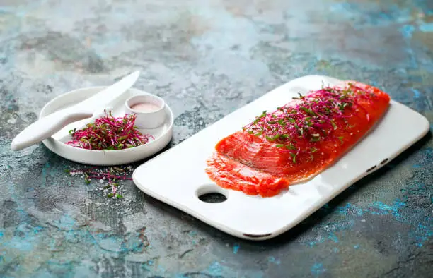 Gravlax, homemade salted sockeye salmon fillet with beetroot sprouts selective focus