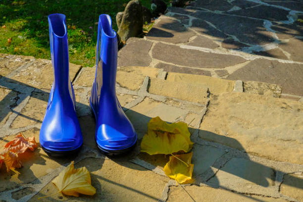 Blue rubber boots with yellow fallen leaves on stone stairs across backyard. Top view. Fall shoes. Background. Copy space
