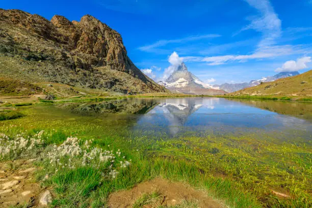 Alpine meadows around Riffelsee Lake with mirror of Mount Matterhorn and Swiss Alps. Zermatt, Canton of Valais, Switzerland. Riffelsee is located on Riffelseeweg trail on Gornergrat Bahn cog railway.