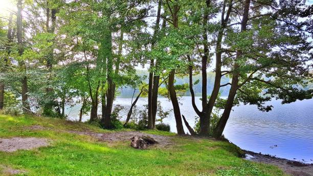 istock Sunbathing lawn at the lake 1280310451